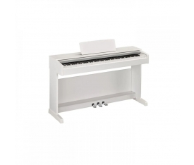 Medeli DP250 Beyaz Dijital Piyano